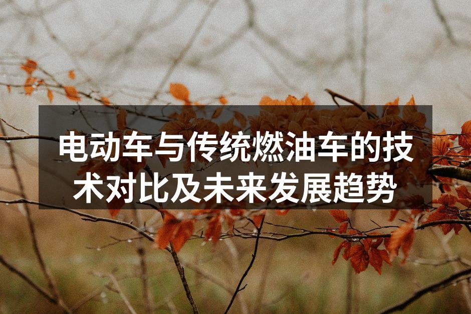 电动车充电场景