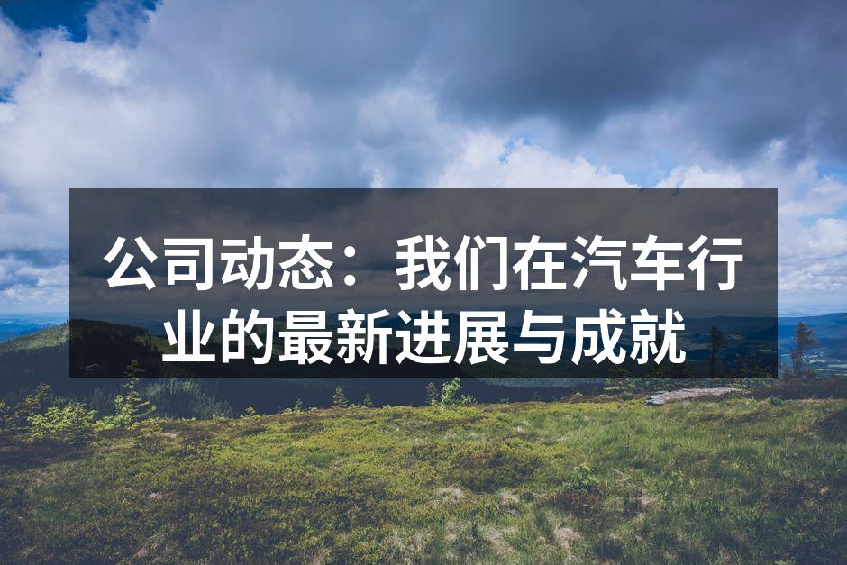 我们新推出的智能汽车电子产品。