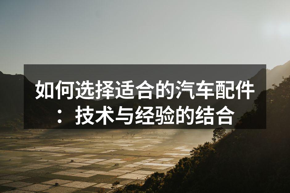 汽车配件选择示意图