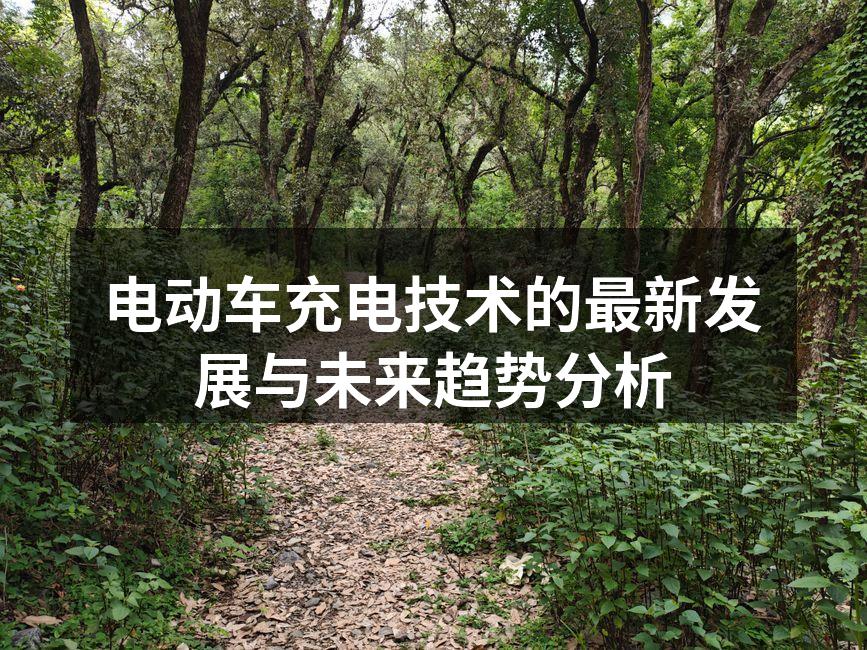 电动车充电桩示意图