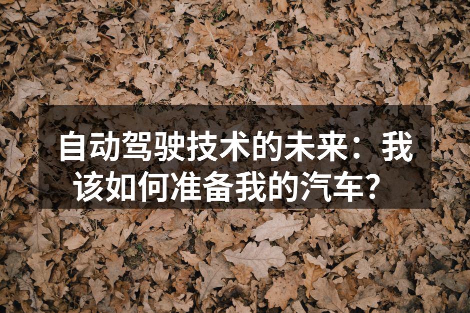 自动驾驶技术示意图