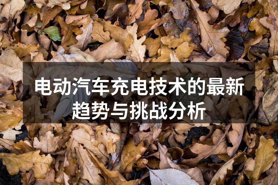 电动汽车快速充电站